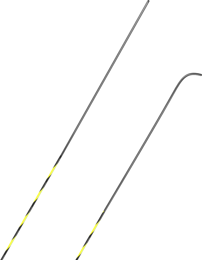 Vision Delux™ ERCP 导丝